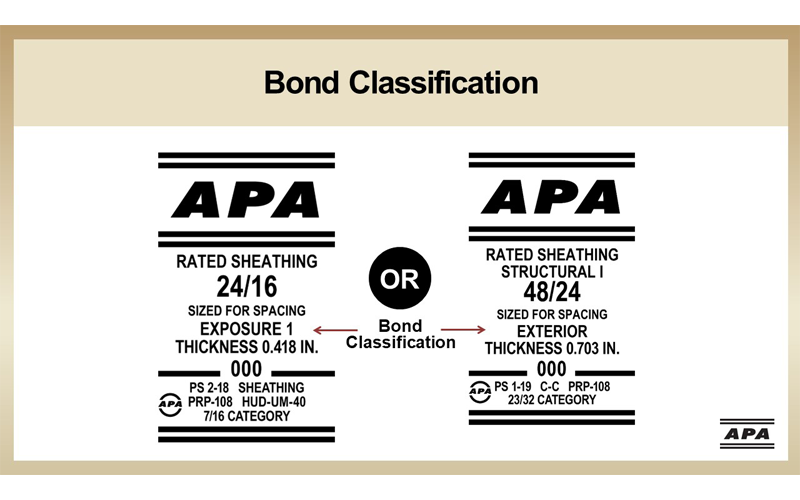 APA Bond Classification