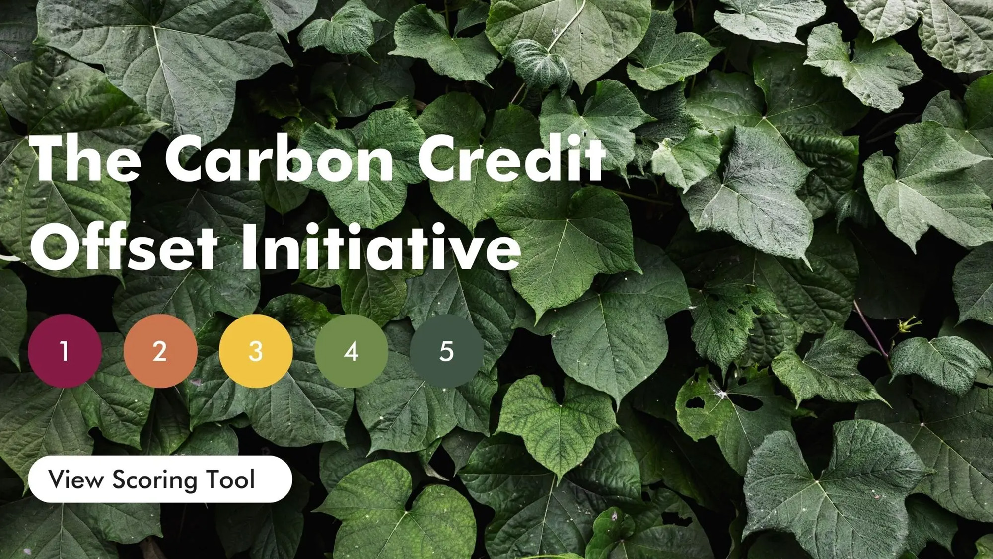 The Carbon Credit Offset Initiative