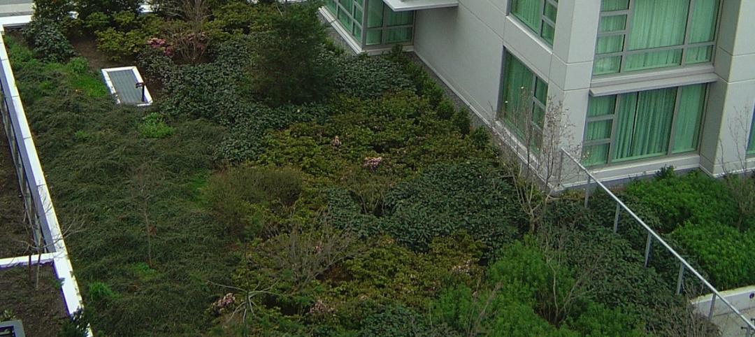 Florida lagging on development of green roofs