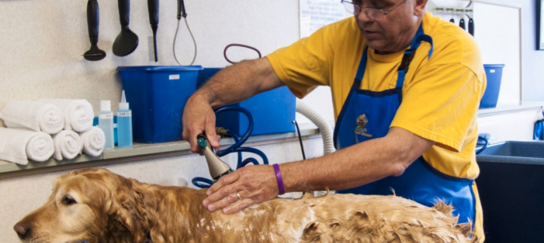 Call for technical experts: Dog wash station design