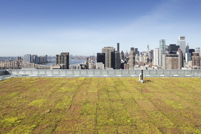 Courtesy Albert Vecerko/Esto. green roof.