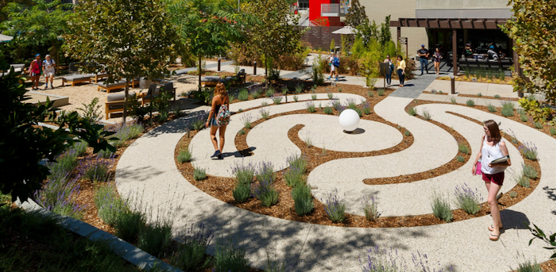 An active outdoor space for students