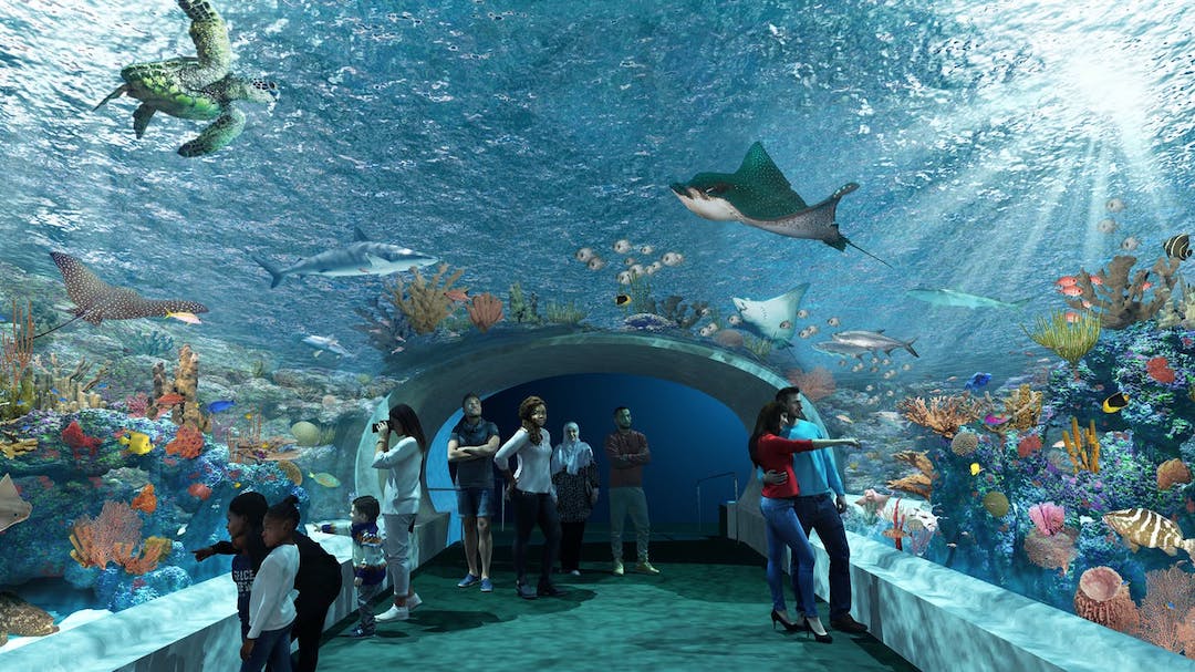 Shedd Aquarium, exhibit space