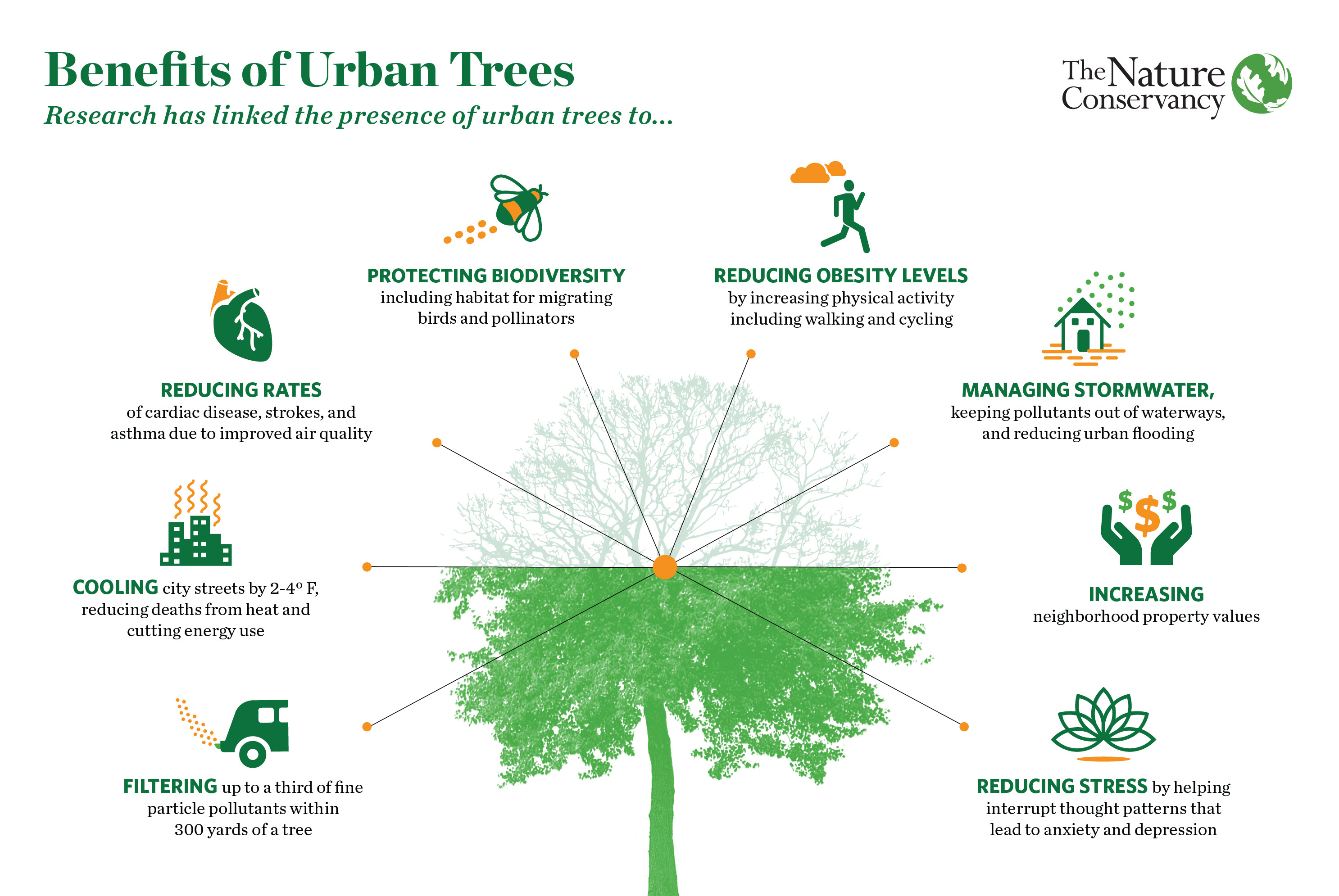 TNC-benefits-of-trees-used-with-permission