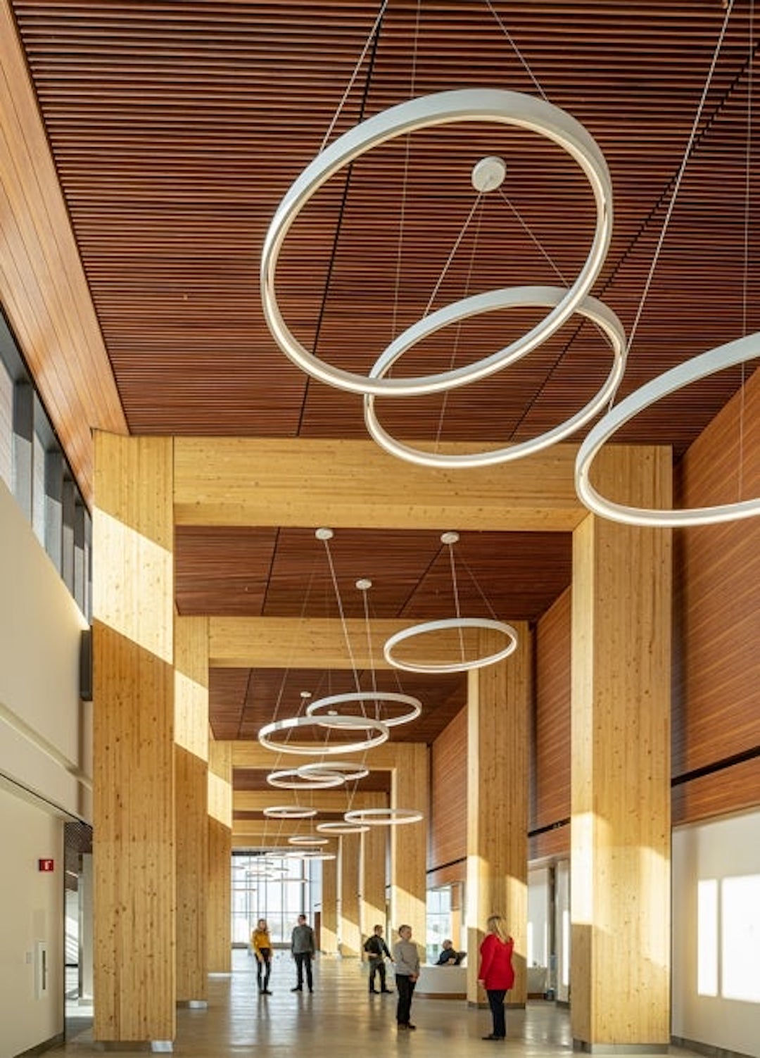 Orleans health hub structural mass timber