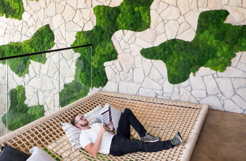 Biophilic design: What is it? Why it matters? And how do we use it