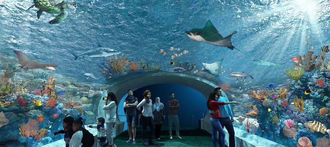 Shedd Aquarium, exhibit space