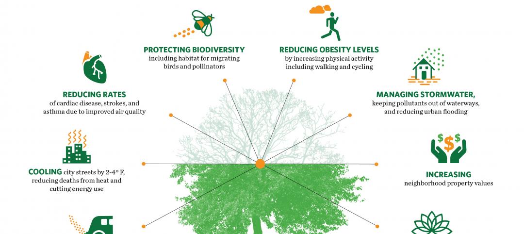 TNC-benefits-of-trees-used-with-permission