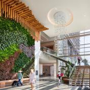 top hospitality architects for 2022 cooper carry Virginia Beach Marriott Oceanfront hotel photo by Judy Davis