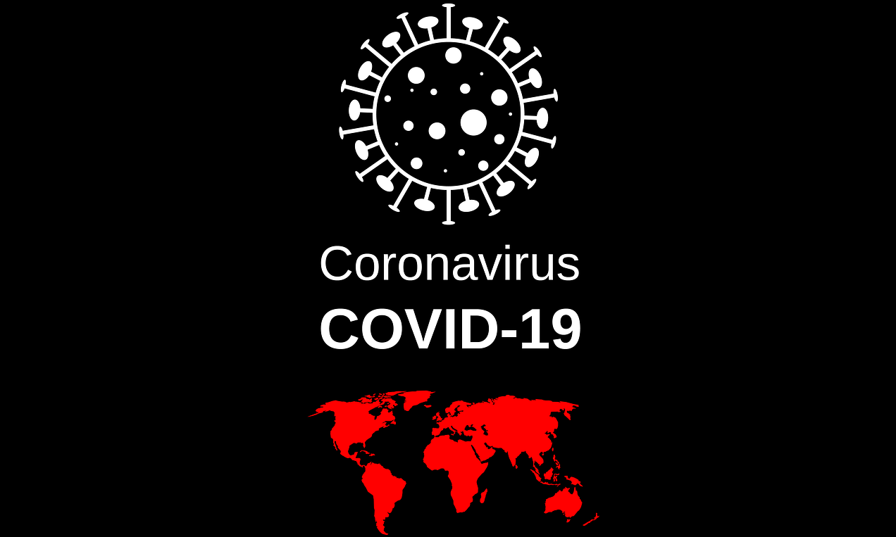 What can we learn from the coronavirus pandemic?
