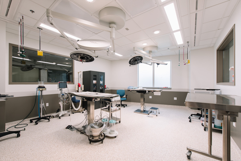 A surgery suite in the Animal Emergency & Referral Center in Oakdale, Minn.
