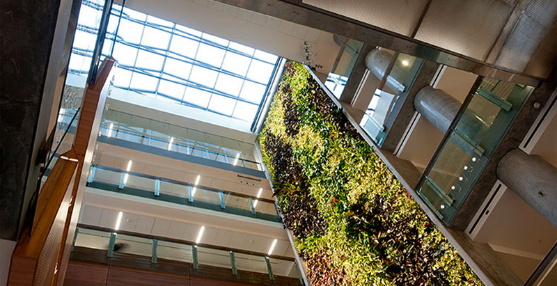 The biofilter provides the majority of the building's fresh air intake to substantially reduce energy usage.