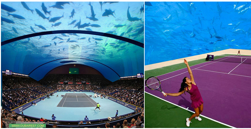 Architect scouts investors for underwater tennis court