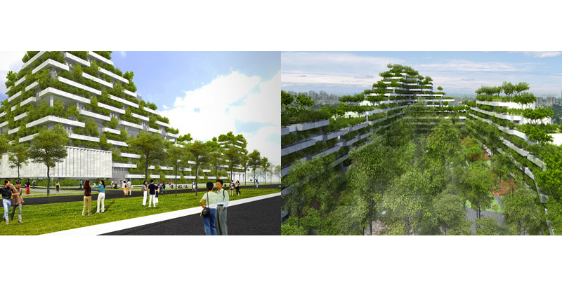 Vietnamese university to turn campus into ‘terraced forest’