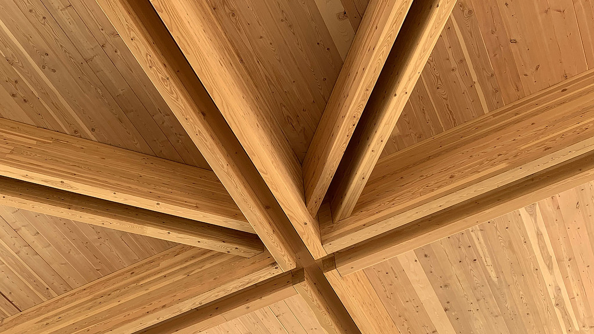 Mass timber ceiling