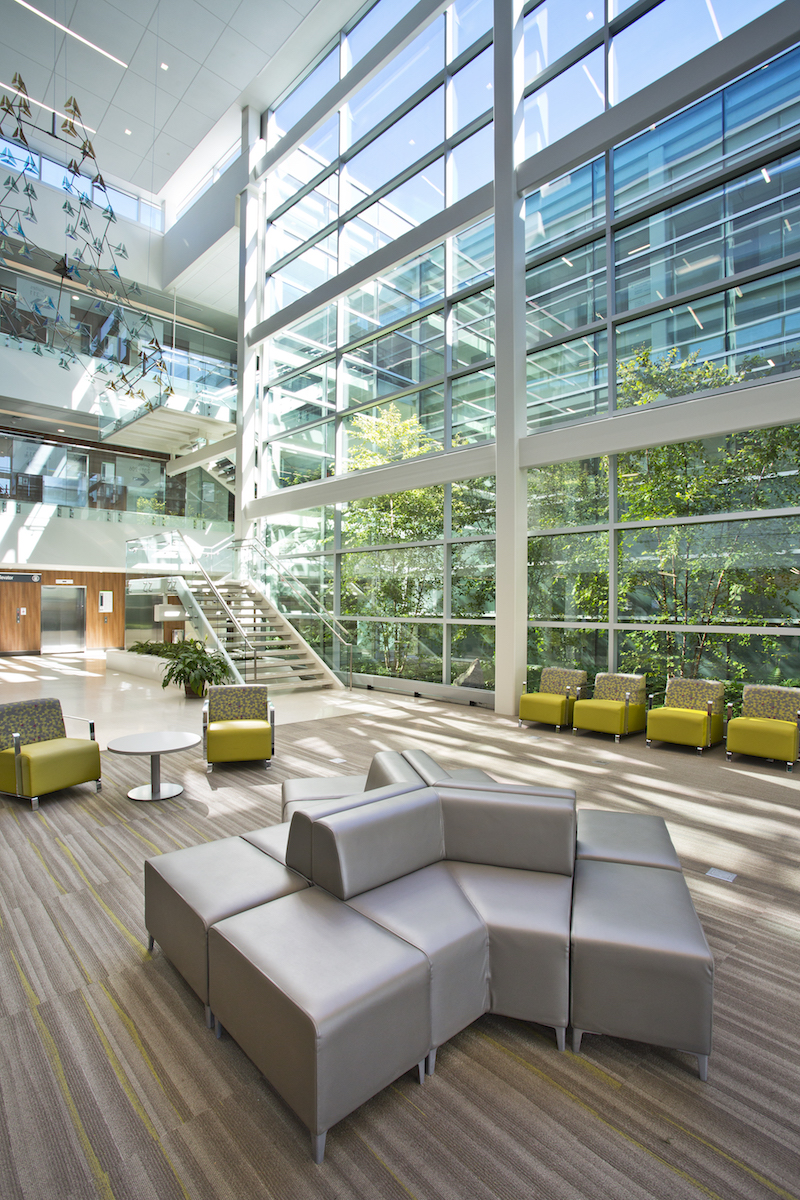 A Sense Of Place Connectivity And Healing At Promedica