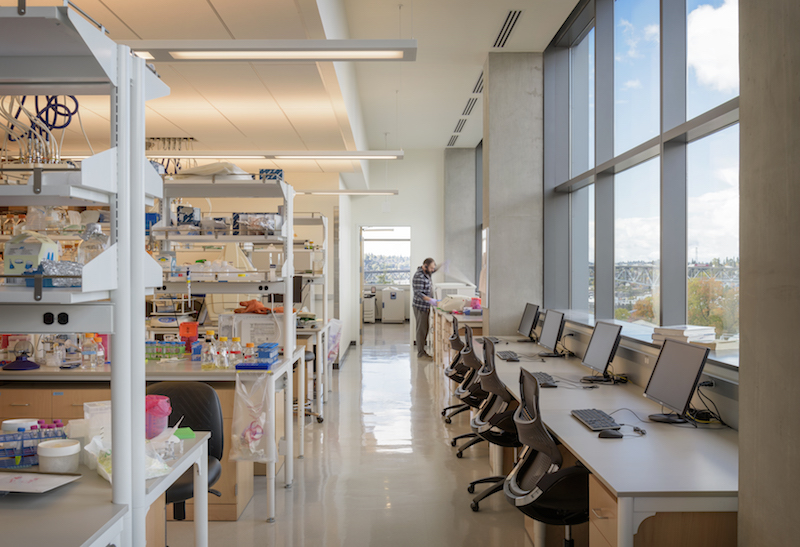A lab in UW's new nanoengineering building