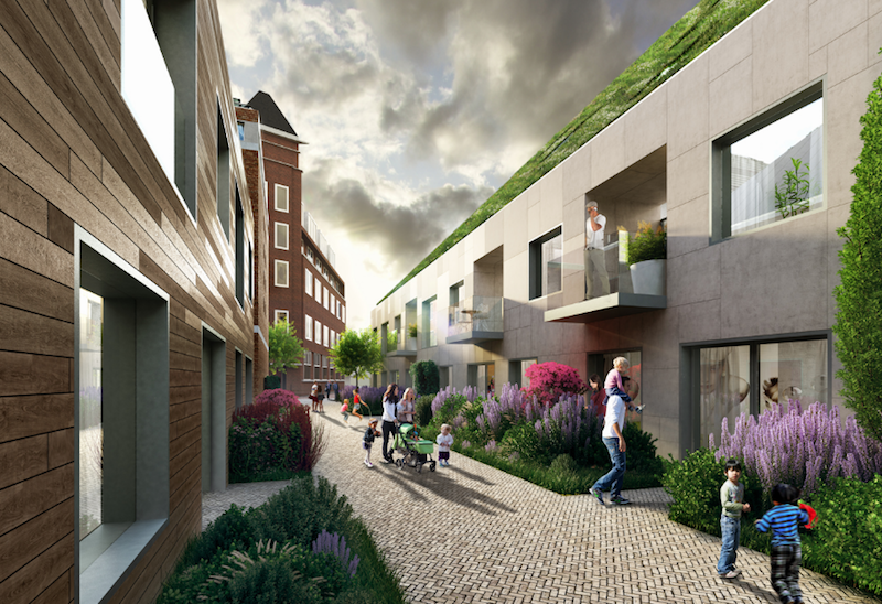 A rendering of some of the homes at Nieuw Bergen from MVRDV.