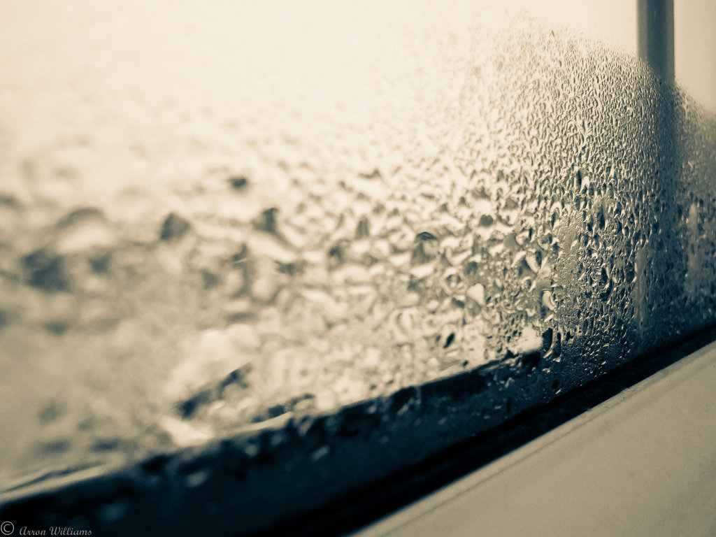 AAMA releases new comparison of condensation ratings systems for fenestration 