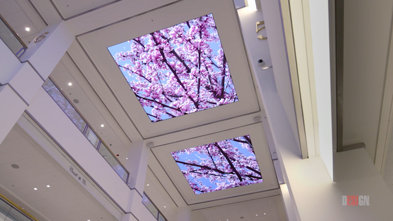 Flowering trees shown on ESI Design's new digital installation 