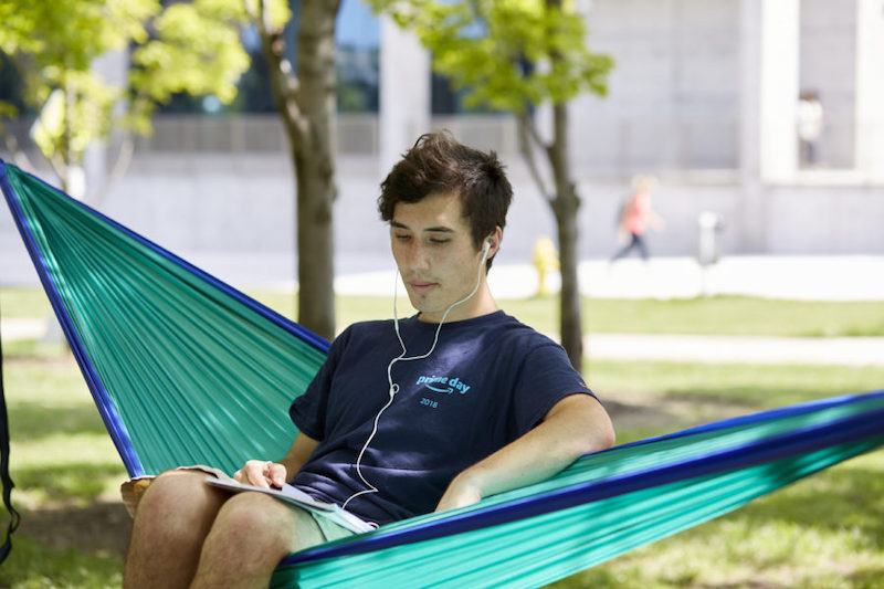 Student sitting in a hammock