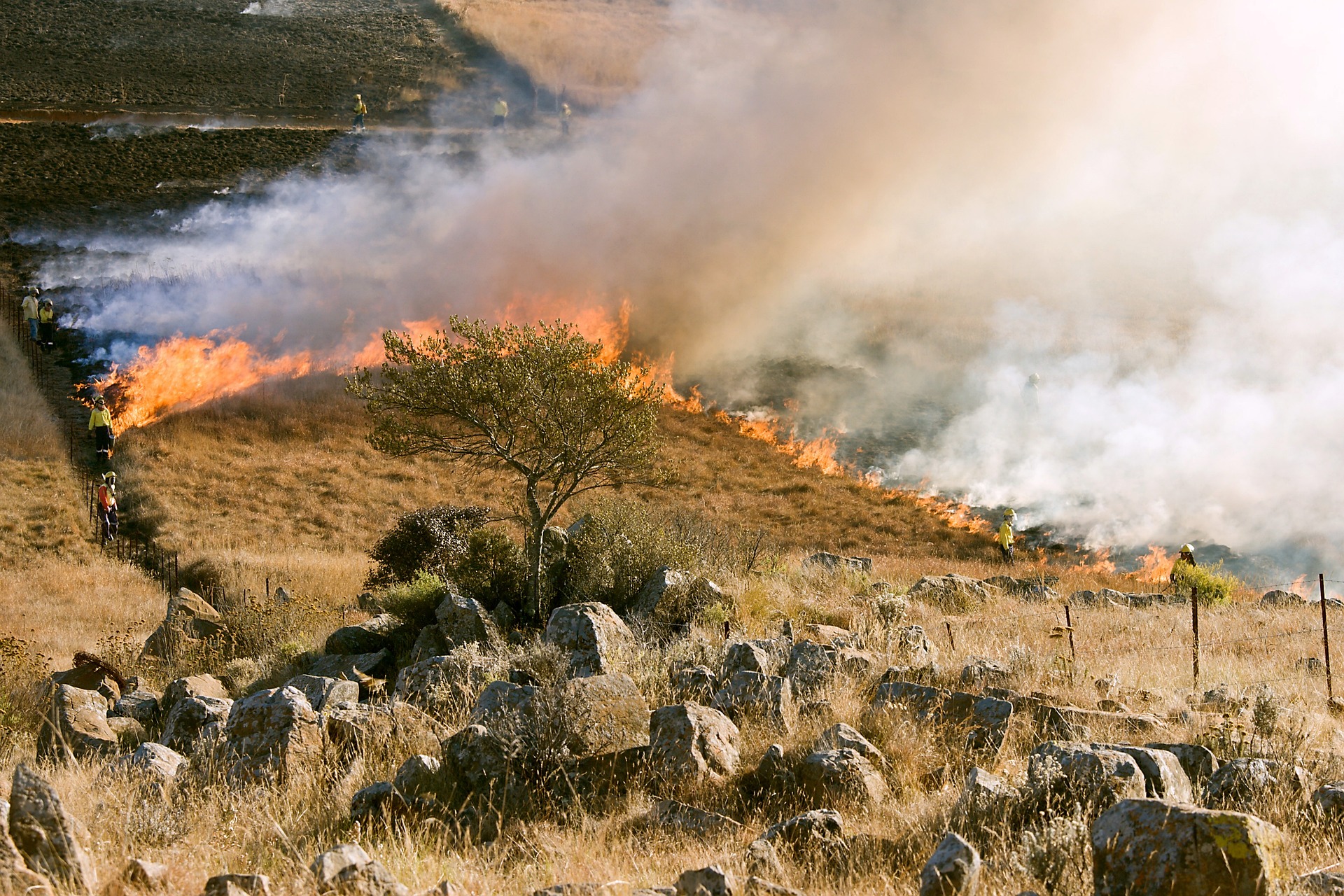 Oregon wildfire risk law prompts extensive backlash Photo: Pixabay