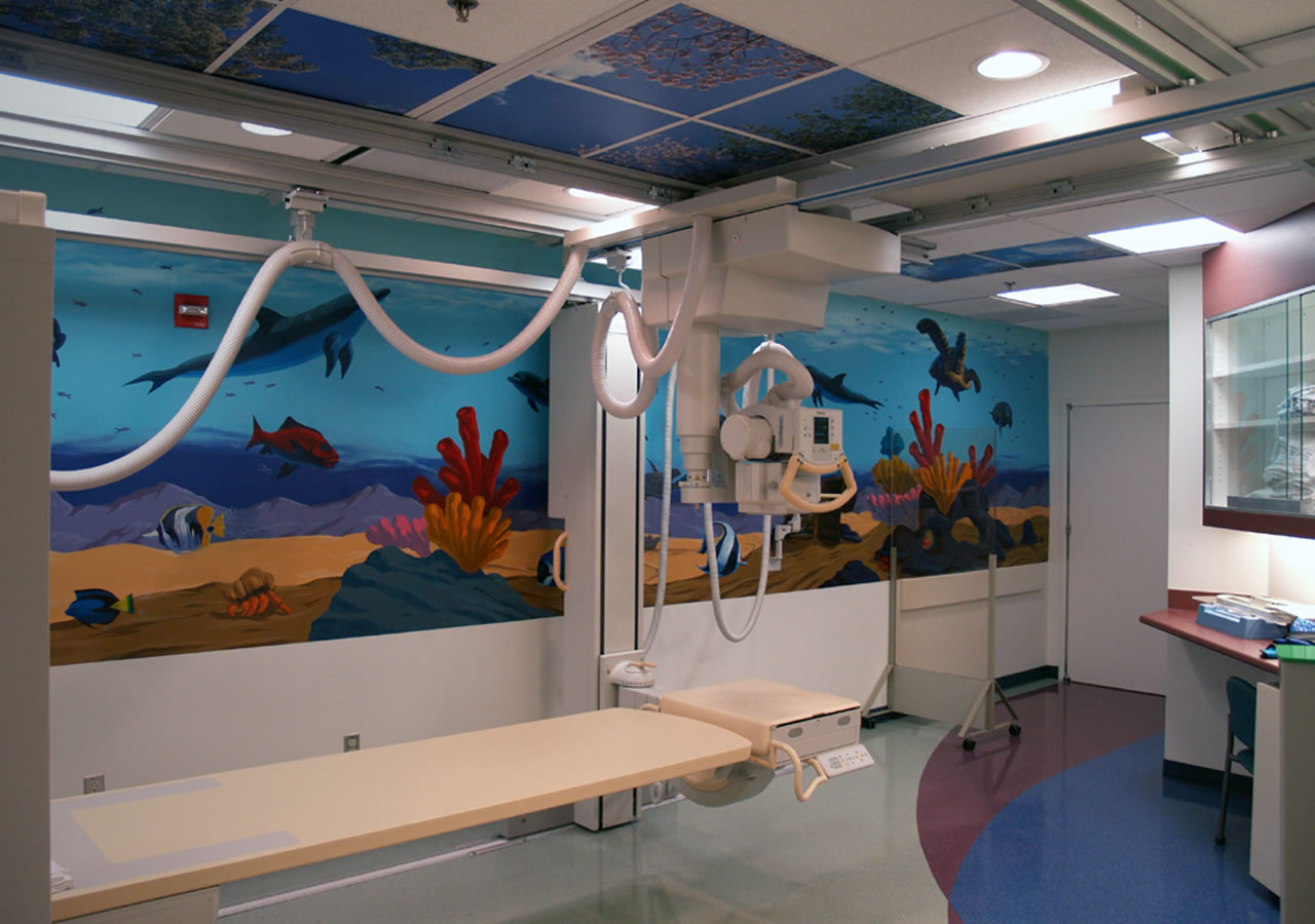 The Rady Childrens Hospital in San Diego is an example of a facility on the cut