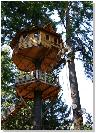 Treehouse resort enlivens outdoor adventures