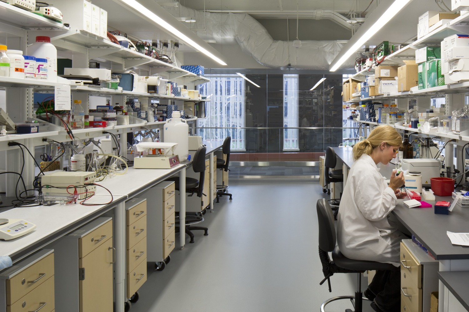 laboratory at the Wayne State University Biosciences Center, designed by HED