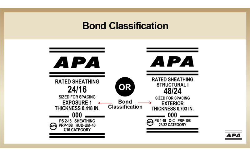 APA Bond Classification