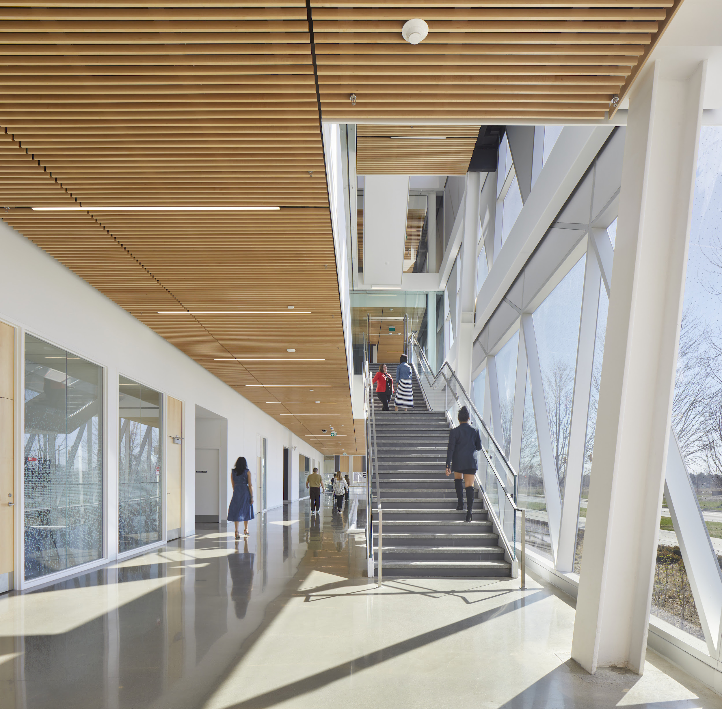 York University School of Continuing Studies building by Perkins&Will