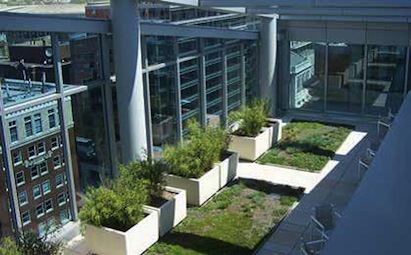 A Washington, D.C., office building incorporates plantings to maximize curb appe