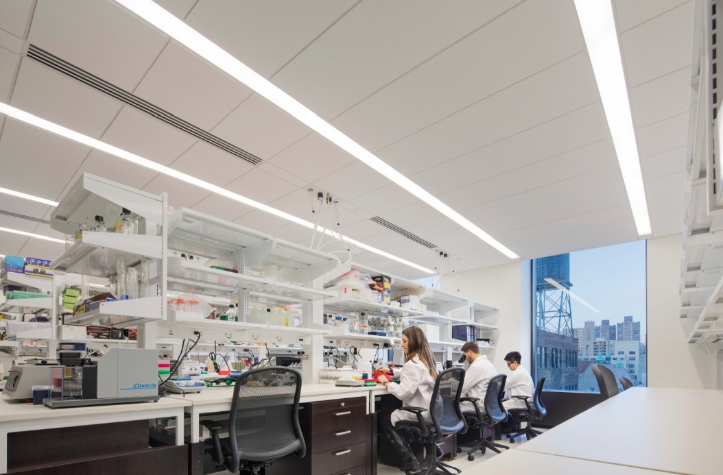 The Mount Sinai Hess Center for Science and Medicine, in New York, a winner in t
