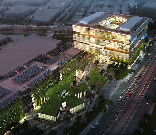 Green roofs will be a hallmark of Samsung's Silicon Valley complex.