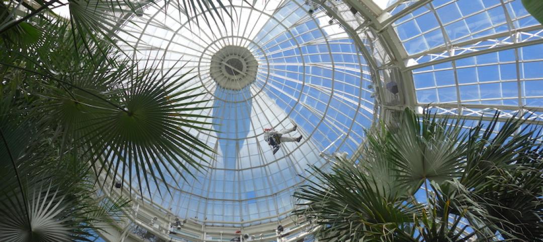 Workers used industrial rope to inspect the interior of the Conservatory's dome.