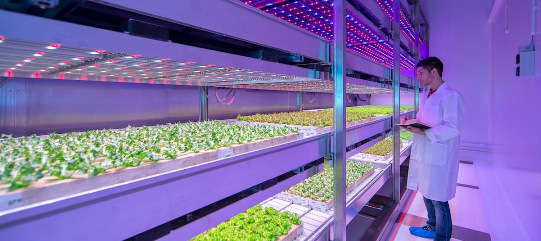 Philips sheds new light on growing fresh food indoors