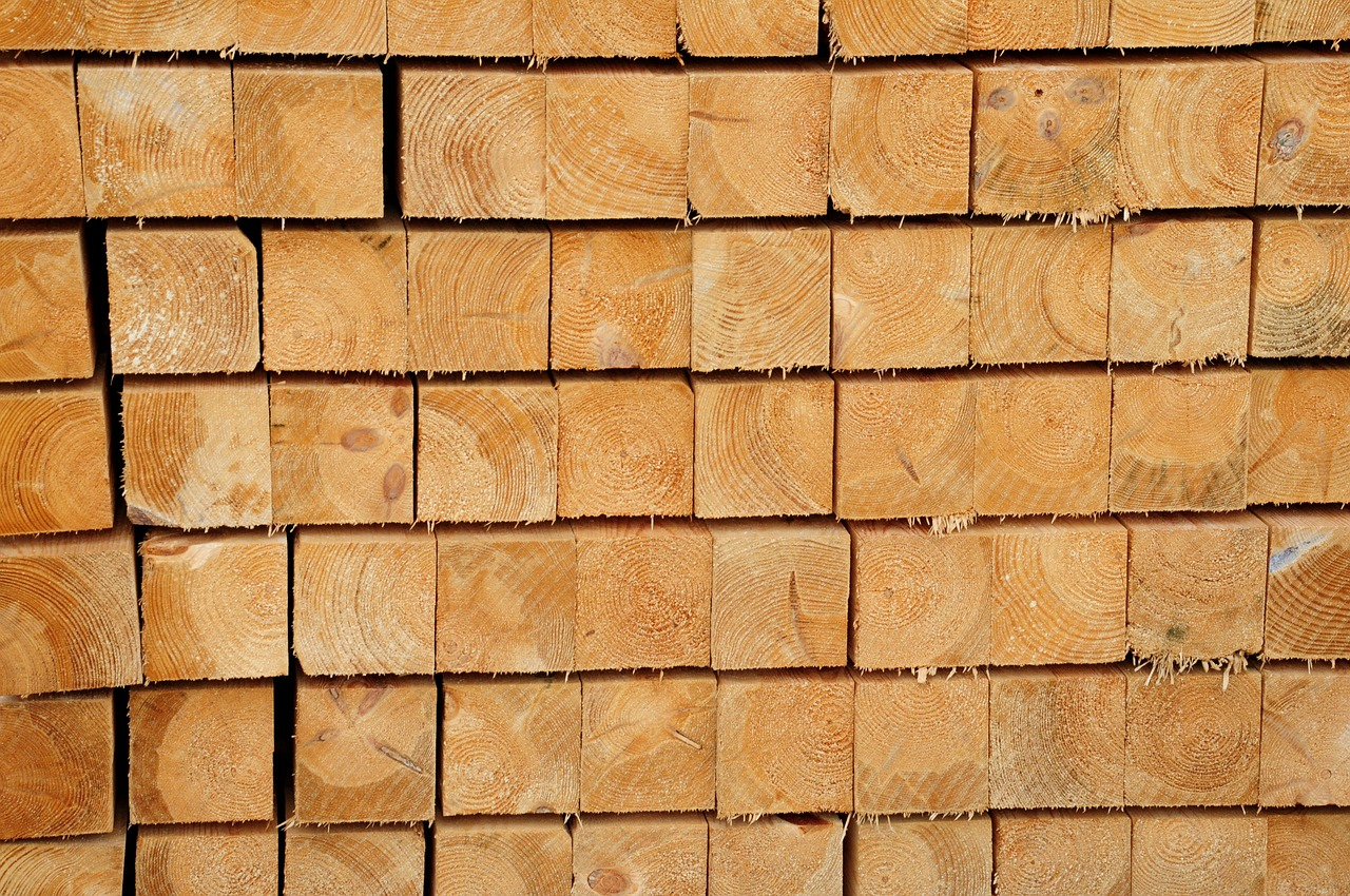 Campaign launched to promote ‘climate-smart wood’