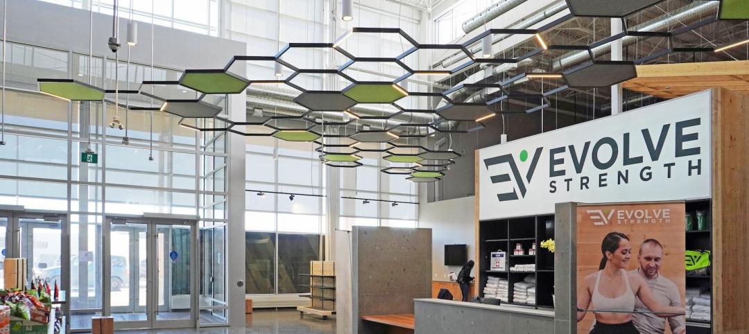 An acoustical grid above Evolve Strength's reception area. Images: Bold Interior Design